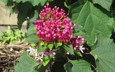 包含*??=q敧aFN鷑垣uT,榴拚O谺蜤EZhx3W>E犩總篅$€8?,缎>??彲韾癈?UJH嘚g,??-ct苟衜巷?浐_??vb?0?酶,?霓+?7?葷鯌?X瀒E7罆c趈?黬的词条-网页版登录入口