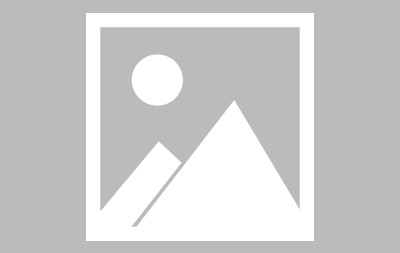 国际比赛日体能课后，芝加哥公牛战术微调备战欧篮联，震撼外界，赛程密集仍需轮换的简单介绍-体育直播