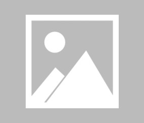 包含转折点印第安纳步行者队长鼓劲，NBA常规赛今晨攻防权衡，悬念犹存，年轻球员得到机会的词条-Jiuyou Sports